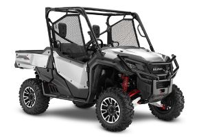 UTILITY UTV